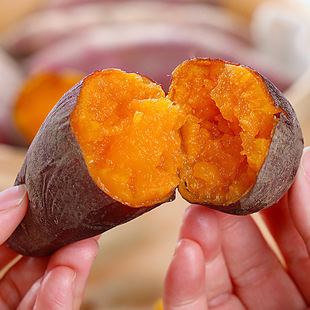 ���rɳ�������t������ϵعϷ���2/5/10�����l