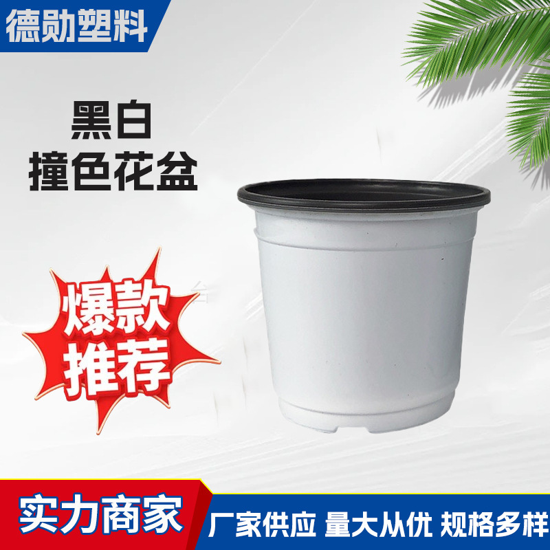 双色花盆PP塑料黑白撞色花盆多肉盆栽育苗盆简易双色盆厂家定制