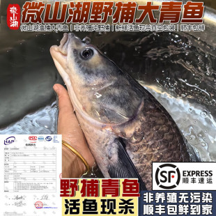 �ӳ�O��΢ɽ��Ұ�������~���r����~�F�����B��·���ش��ݽz����