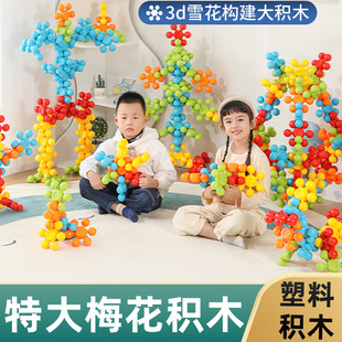 �׃��@������đ��ⳬ��÷���eľ3Dѩ��Ƭƴ�彨�����w���������