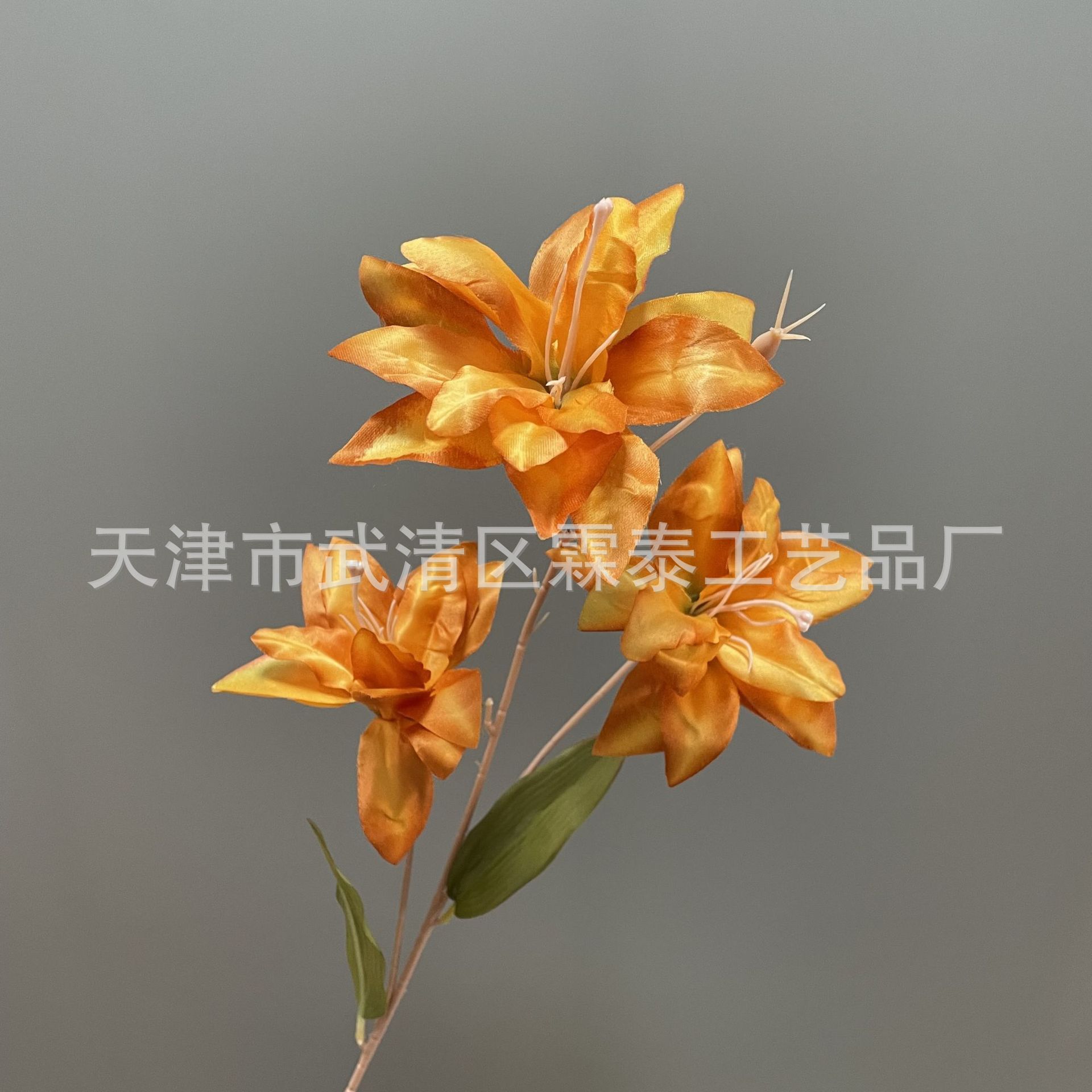 오렌지