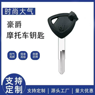 Suitable for Haojue Motorcycle Keys, Neptune Usr Hj125 Key Blank with Magnetic Key, Skyhawk 125 Key Blank (Motorcycle Key)