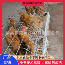 ���ۼ��S�u�����Sĸ�u���r����B��ɽ���u���M�ṩ֧���Bֳ���g