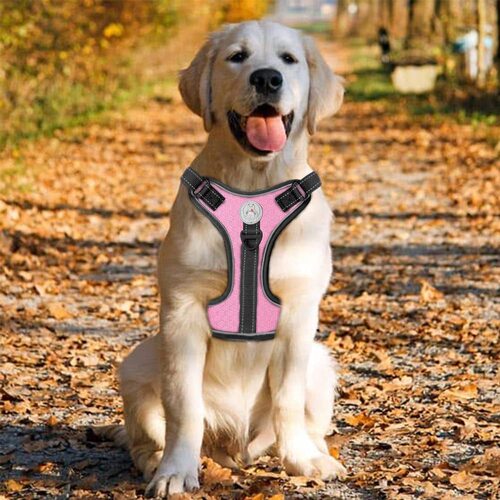  new explosion-proof shock-absorbing comfortable night vision reflective pet harness dog vest-type traction harness