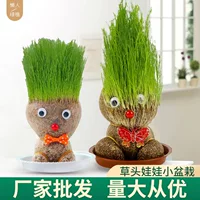 Цветущая кукла Милая длинная травяная кукла Настольный стол Растение в горшке Политая длинная трава Растение Украшения для домашнего офиса Травяная кукла