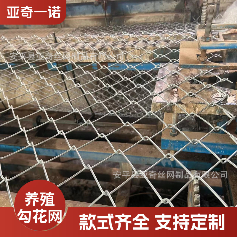 镀锌铁丝网 煤矿支护菱形网 边坡植草活络网 护坡勾花网 管道保温