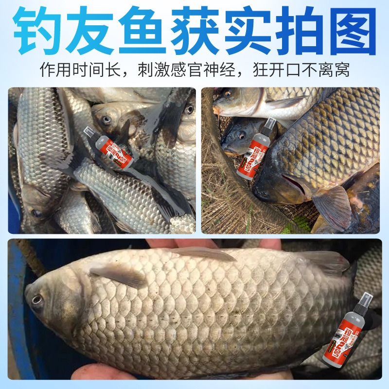 Aditivo de cuatro estaciones para cebo de pescado de agua dulce de pesca salvaje de pozo negro de pesca de medicina pequeña