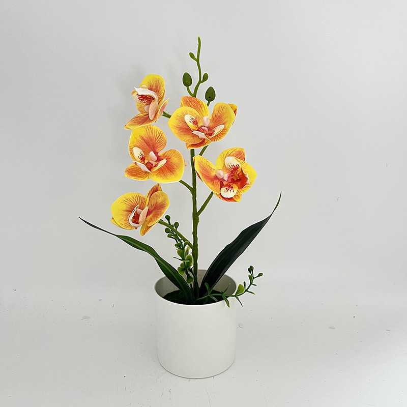 노란색 (높이 31*가로 17cm)