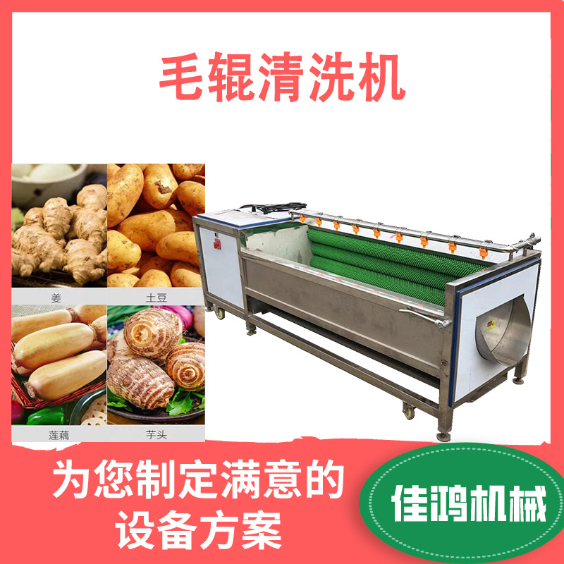 供应果蔬去杂毛辊清洗机 土豆红薯清洗去皮 山药芋头一体机佳鸿