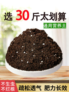 ����G�}�I�B�������������B��ͨ���ͷN�������ЙC����Nֲ��