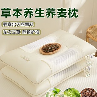 Lyocell Tencel Mugwort Buckwheat Shell Pillow Adult Home Cervical Spine Support Sleep Herbal Health Whole Head Pillow Core