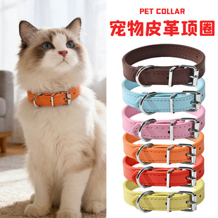 多功能宠物项圈