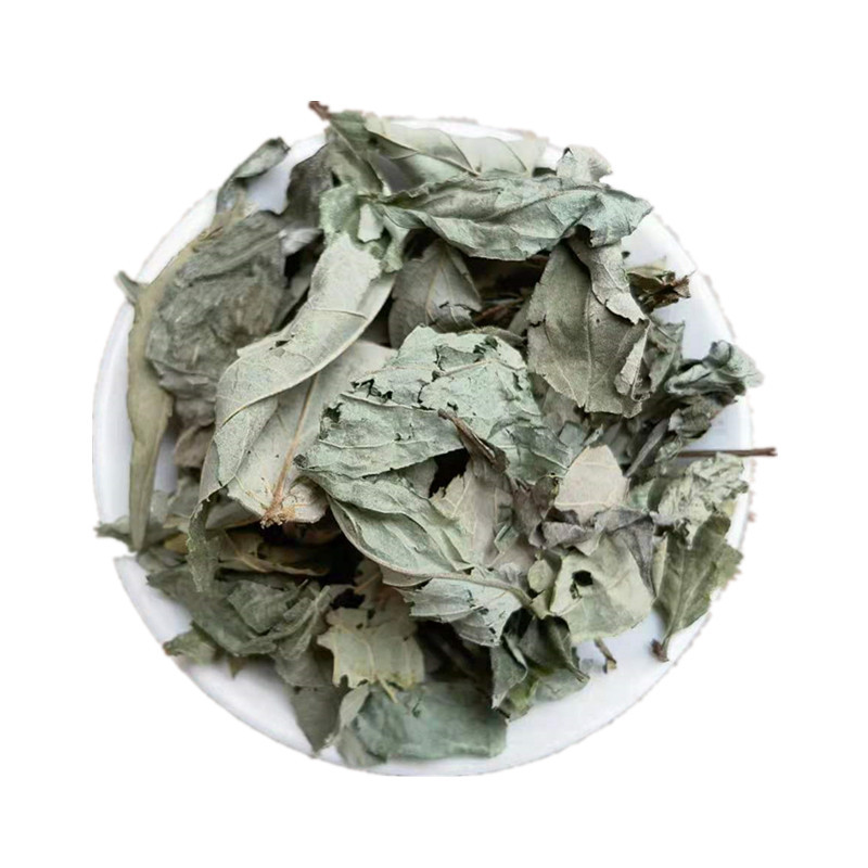 Dried Chang Shan Leaf Shu Qi Bulk Wholesale Traditional Chinese Herb Dichroa Febrifuga Leaves in use