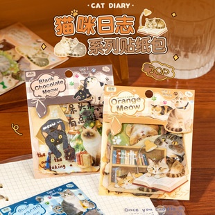 �Z�epet�쾰�N���� ؈����־ �ɐ��Ȍ��D�������֎�diy�����b��N
