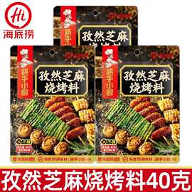 海底捞筷手小厨40g香辣孜然芝麻烧烤料蘸料辣椒面方便洒料