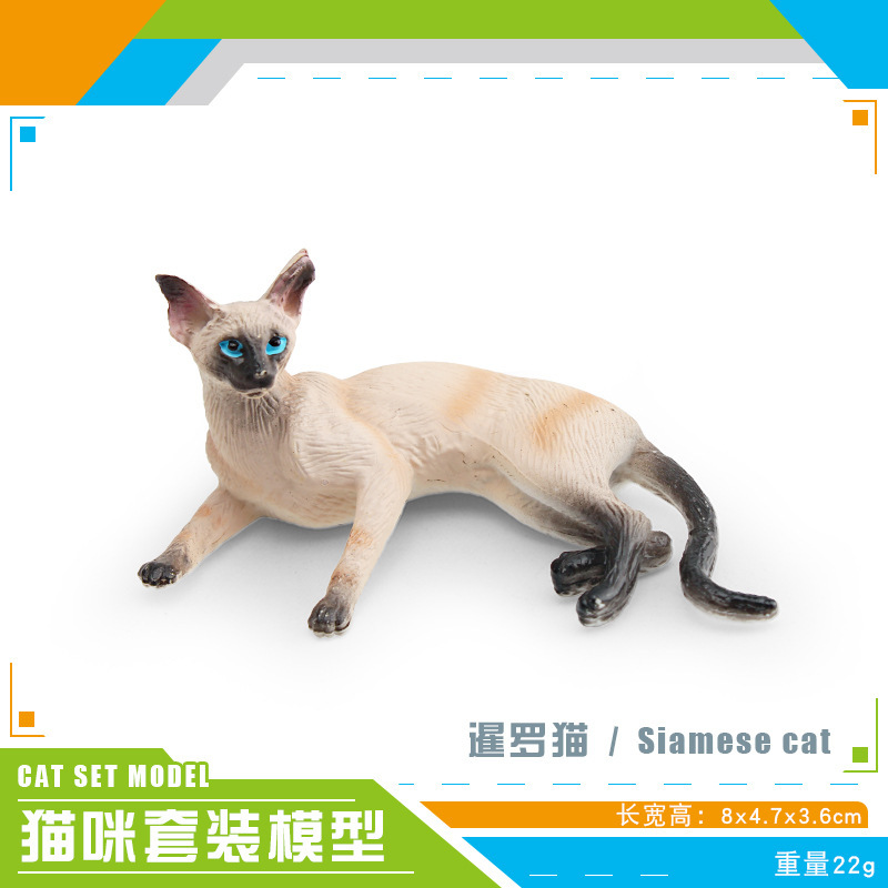 Pl127 - 3638 Siam CAT 22G