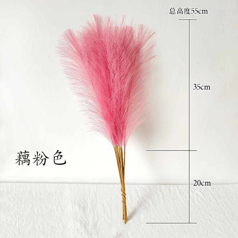 Polvo de raíz de loto 55cm