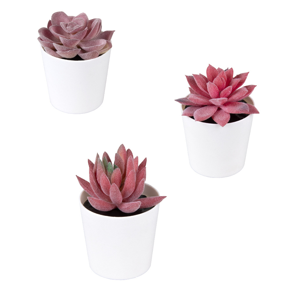 Tamaño pequeño de hadas Kedudo carne mini olla de simulación de plástico esmerilado pequeño bonsai decoración de escritorio regalo simulación suculento