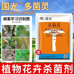 ����500g����`����������ֲ�����Թ����~�ߺڰ߰׷ۻ�ș�S�~���~
