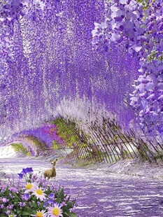 �������ٻ��b컨�ٻ��ٗl���_�m�҃Ȼ�c�������������������
