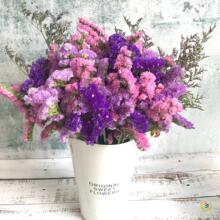 ?ҸɻrՓuLMbҾӔ[O