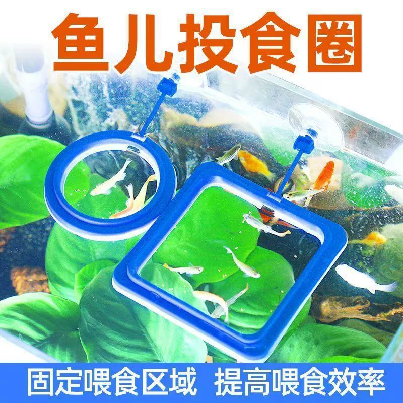 Кормление для наблюдения за золотыми рыбками