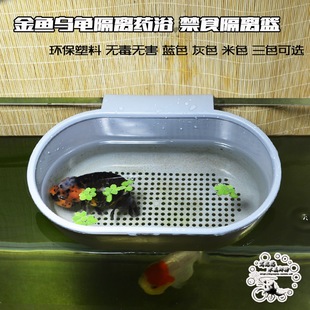 Basket Lost Guppy Fish Box Isolation Hook Fasting Seedling Fish Tank Bladder Goldfish Turtle Feeding Box Living Isolation Hatching Box