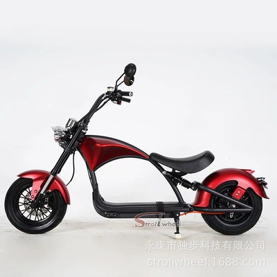 Elektrikli motosikletlər: 60V30Ah Balance Car Processing