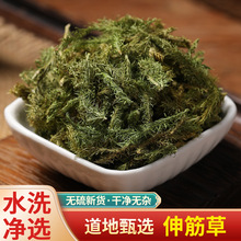 中药材批发零售 伸筋草狮子草牛尾菜大顺筋藤大伸筋量大价优