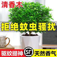 �����������ľ���Ի����k���҃�����ò��Ϙ��Gֲ������ֲ����B
