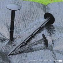 ���ݲ�U�͵�ᔲ�ƺ���S�W��Ĥ���x�W�̶�ᔳ��ݲ��������ϵز��