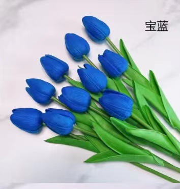 363714c6448b74e7e32a4658eebe9f