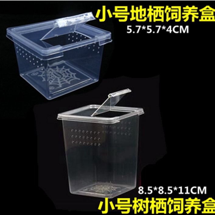 爬寵飼養盒角蛙蝸牛蠑螈養蠶蜘蛛樹棲盒爬蟲飼養箱水陸兩棲養殖箱