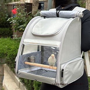 �ڹ�\�ӻ�Ƥ��y�p�����P�⎧���\�ⱳ�����B�W�^���B�����]