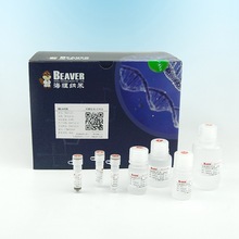 海狸磁珠5mL 70703-5 Beaver生物配体快速偶联磁珠 NHS磁珠试剂盒