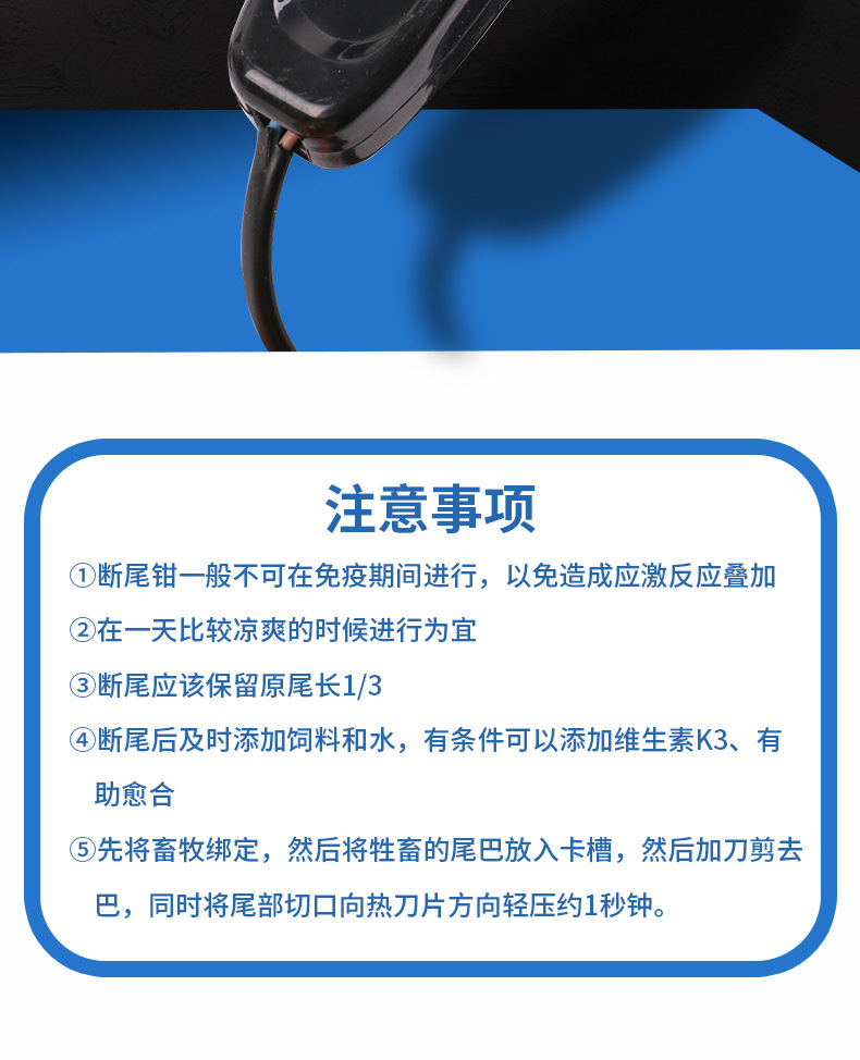 7详_07.jpg