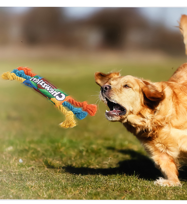 Wholesale Hot Rainbow pet dog toys grinding teeth being tough bite making sounds Pet toys Wholesale Hot Rainbow pet dog toys grinding teeth being tough bite making sounds Pet toys