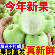 青苹果水果新鲜脆甜酸应季丑平果当季嘎啦青红富士苹果批发一整箱