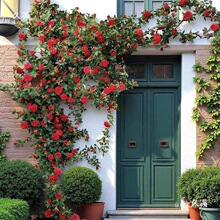 �����b����쾰���{�ܵ����þW�tõ��W�t���ٲ���������