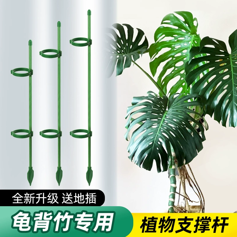 Цветочная полка черепаховая подставка гортензия опора денежное дерево небесная птица роза