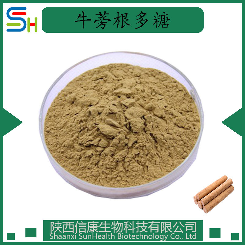 牛蒡根多糖 30/50% 牛蒡根提取物 信康供应1公斤起订水溶性牛蒡根
