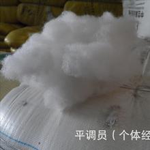 全新料无莹光白色三维中空公仔棉PP棉手塞棉厂家直销送普票E18