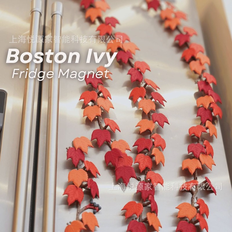 Boston Ivy Fridge Magnet亚马逊新款圣诞节波士顿常春藤冰箱贴|undefined