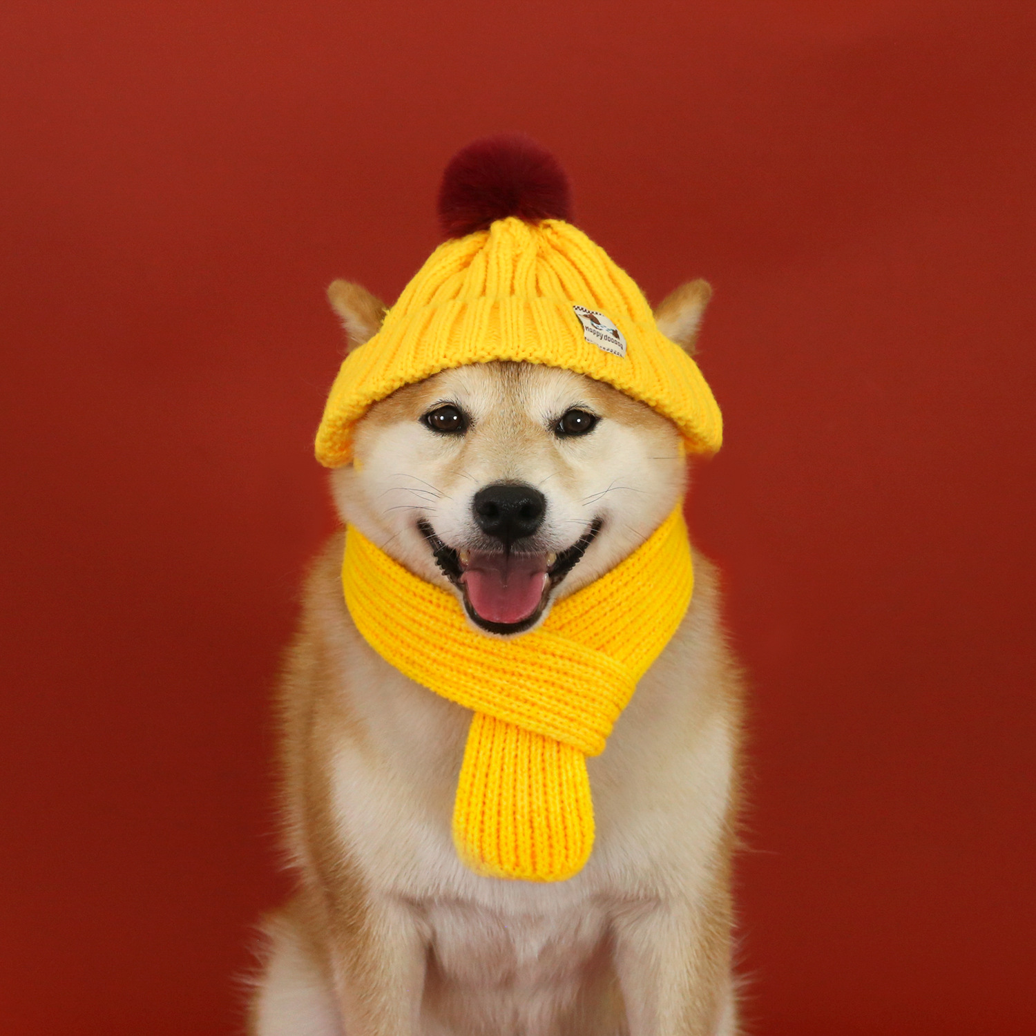 Mascotas de invierno de lana de punto sombrero caliente bufandas set de cuello de Navidad gato perro conejo cubierta de cabeza