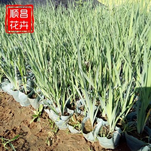 �R�m���� ���ع����R�A�޸����ܹ��@�G���@�ֹ����� ����ă��R�m