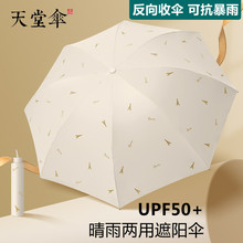 Â⾀̫ꖂꖂpСɱyۯBŮʿ