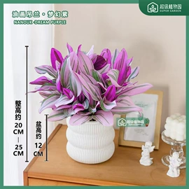 栽培基质;盆栽;营养液