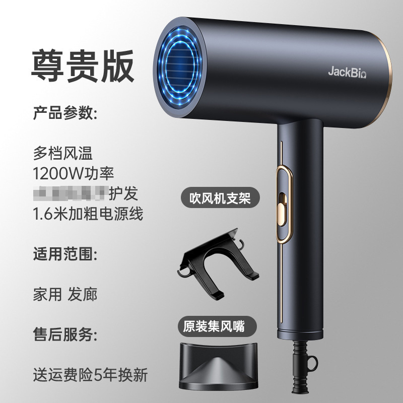 国境を越えたアマゾンマイナスイオン電気ブロー家庭用ヘアサロン大出力ブルーレイ電気ブローメーカー卸売り|undefined