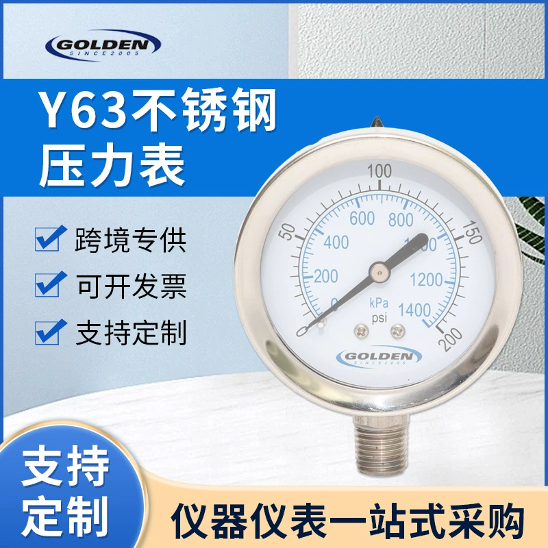 Y63 Манометр из нержавеющей стали 63MM Манометр из нержавеющей стали LF-250SS-4L