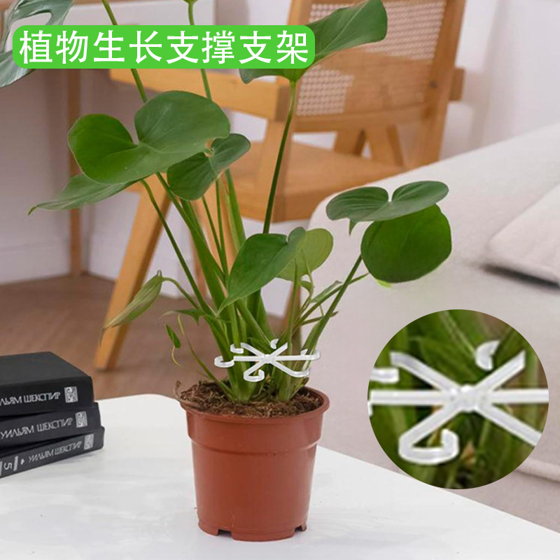 微信图片_20250320151450